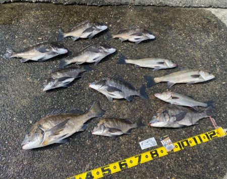 DAY2 南港のつり