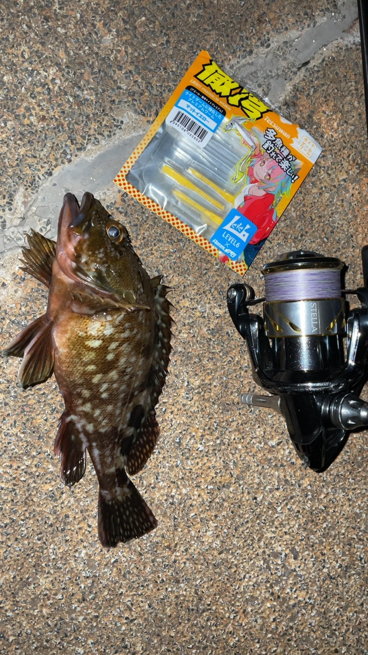 爆風メバリング