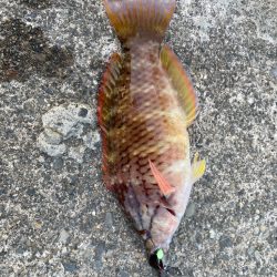 仕事終わりのライトゲーム