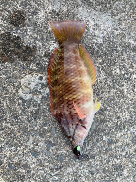 仕事終わりのライトゲーム