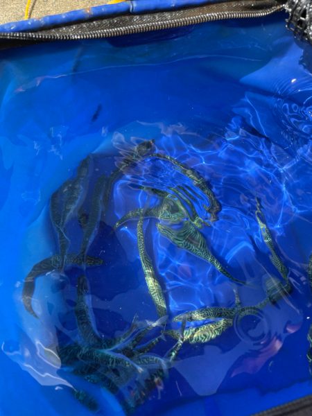 渋いねー。準備不足！