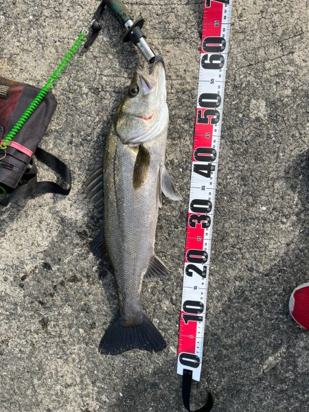 ムコイチ（エビ撒き）