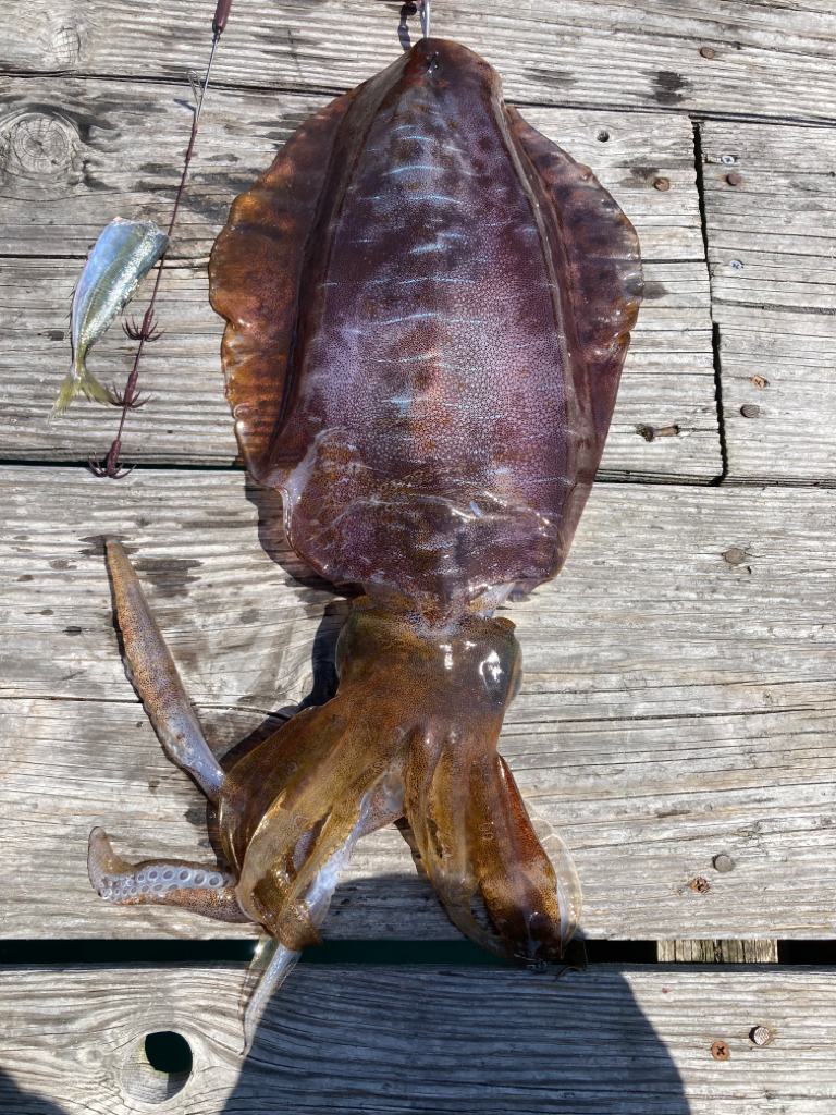 寄せてくるのが重っ!