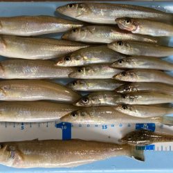 ライトキスゲーム