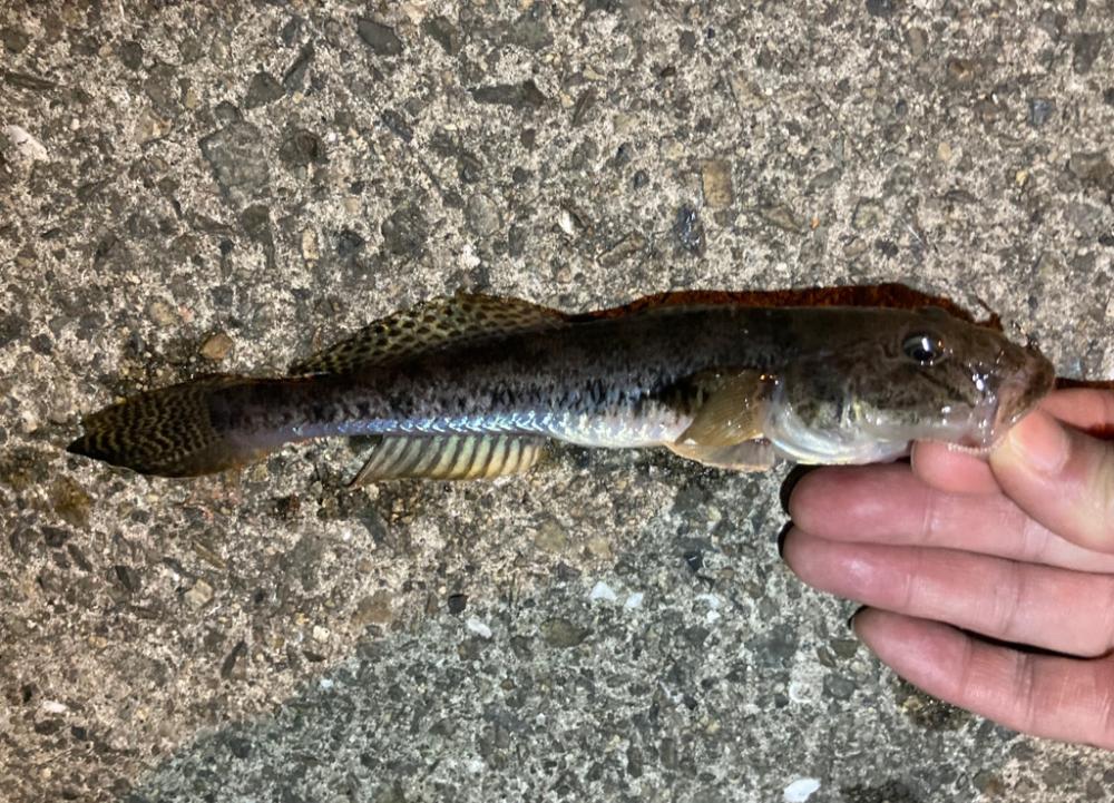 3目ライトゲーム