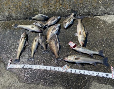 DAY1 南港のつり