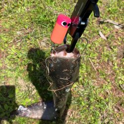 デイナマズゲーム 水面爆発