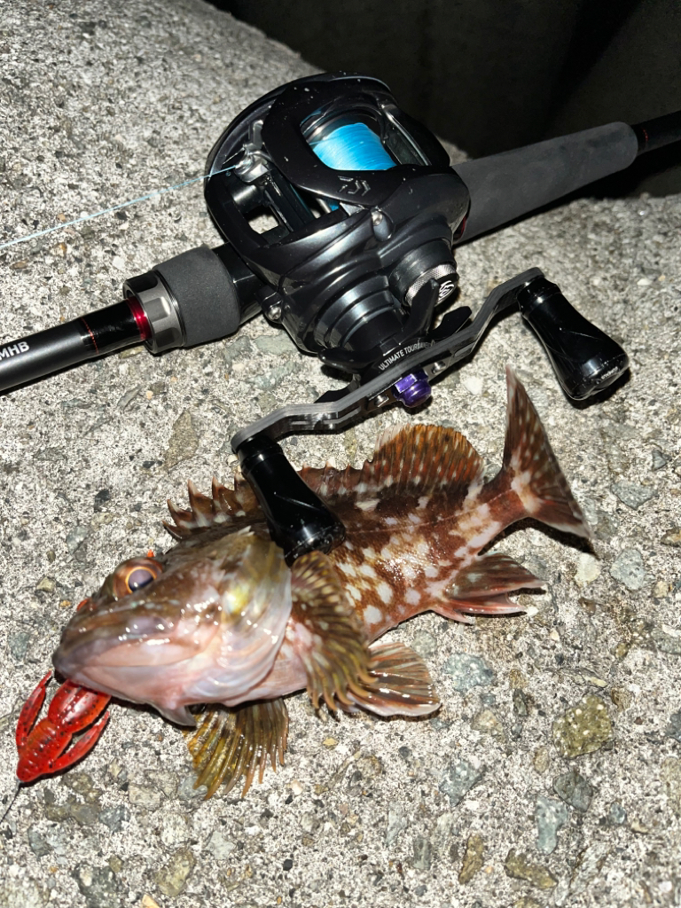 ロックフィッシュ