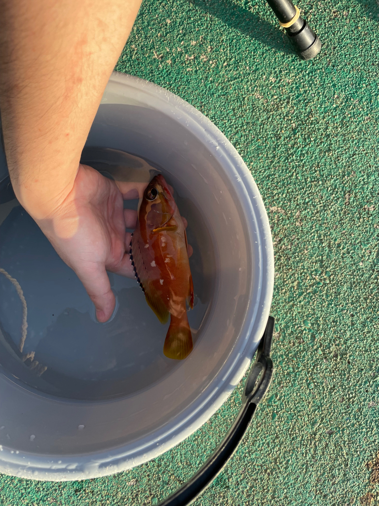 ホテル浦島!果たして?