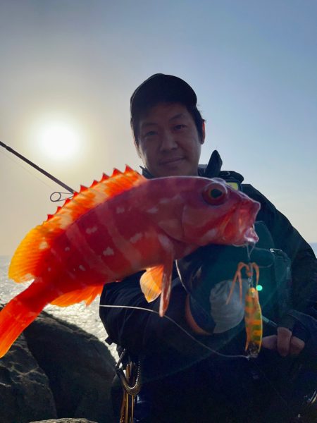 根魚にジグをオススメする理由