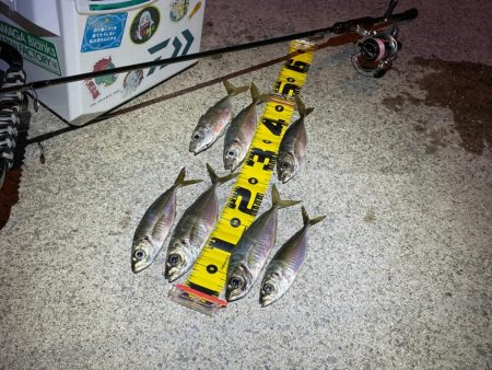 夕まずめフロート