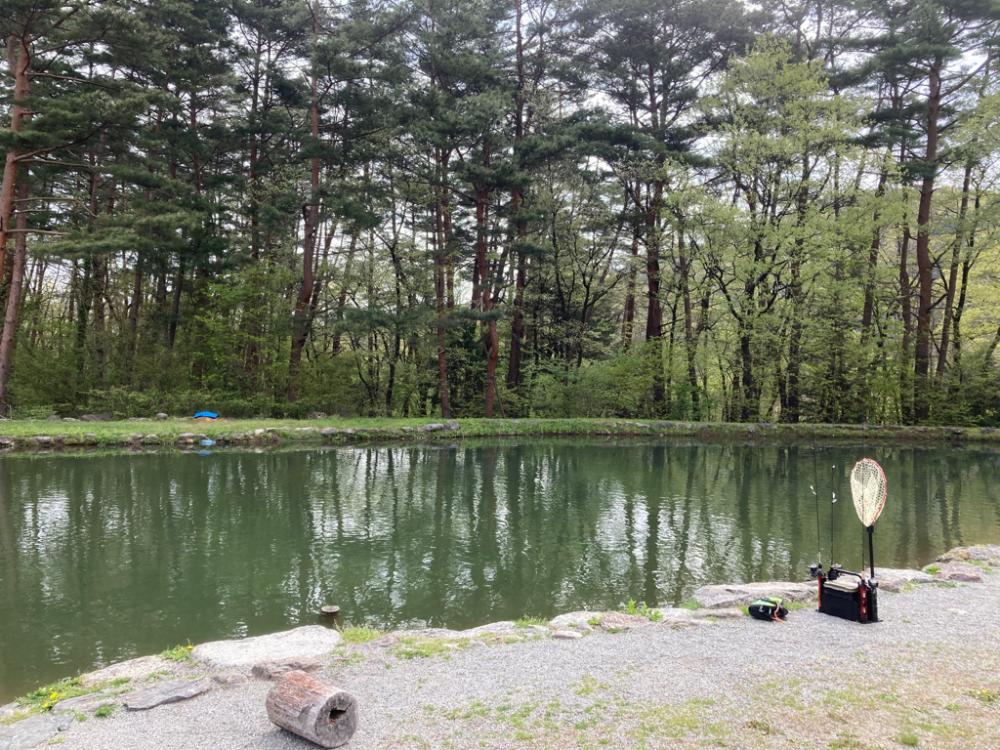 エリアトラウト