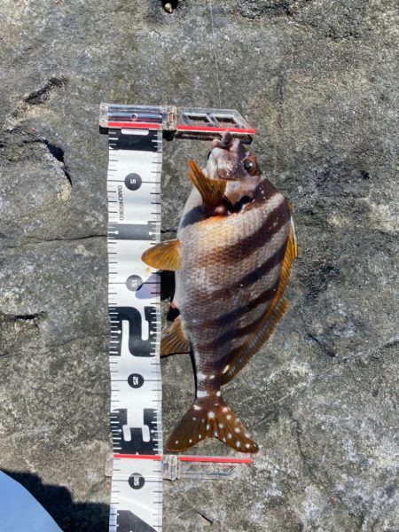 今シーズン納めの釣行