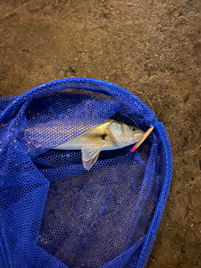 雨後の増水パターン