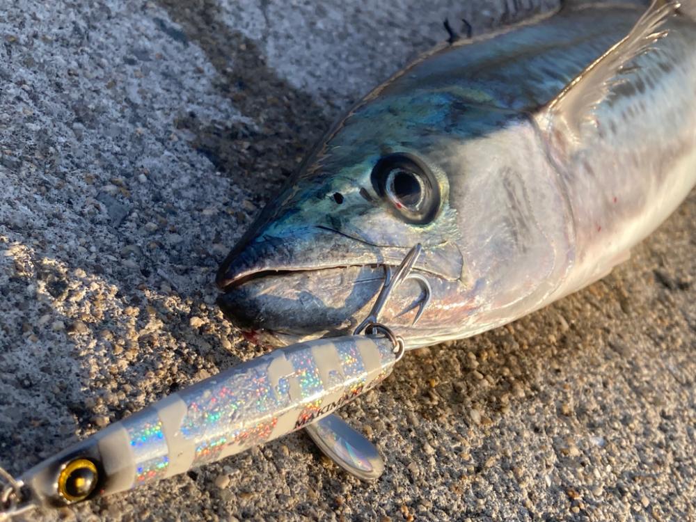 2023ライトゲーム第10戦