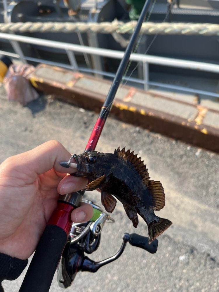 春のタケノコ祭り継続中?