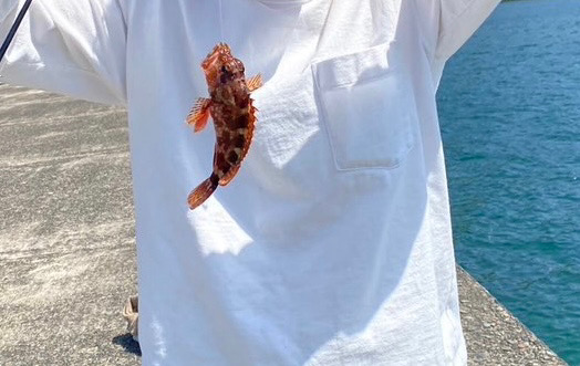 チョイ投げキス釣り