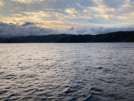 ちょいブリ足らず