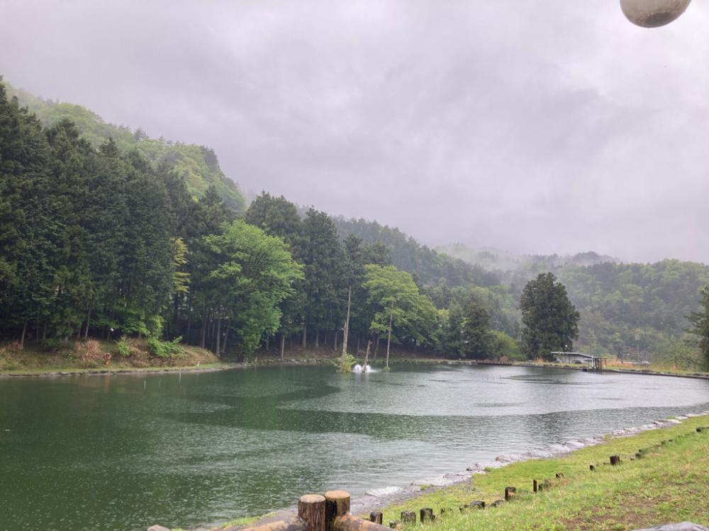 エリアトラウト