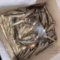 負の条件揃い踏み