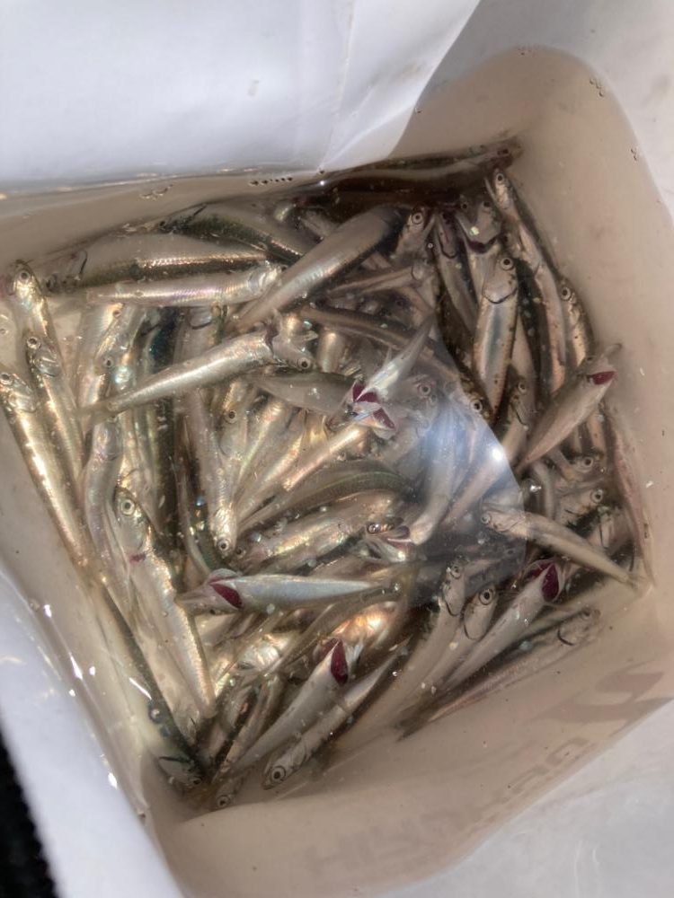 負の条件揃い踏み