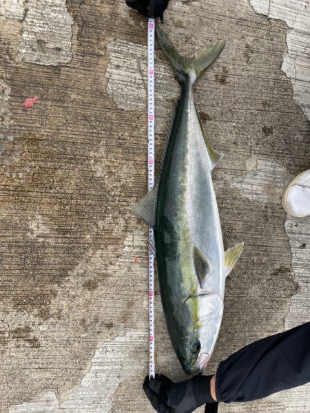 ありがとうございました!