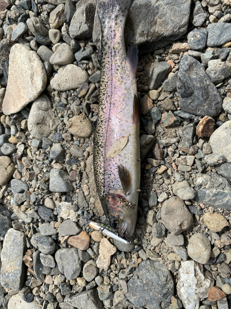 尺代あまご・マス釣り場へ