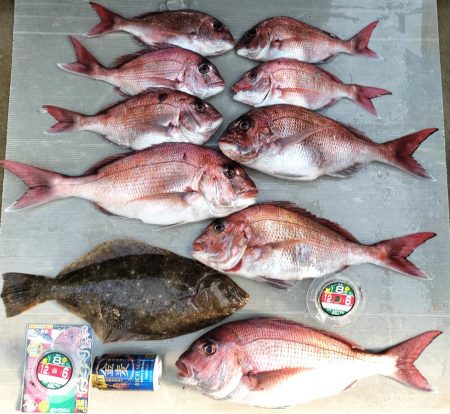 乗っ込みマダイに挑む！