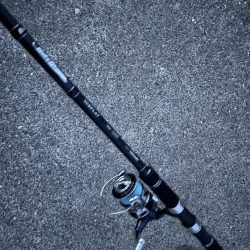 久しぶりの お魚