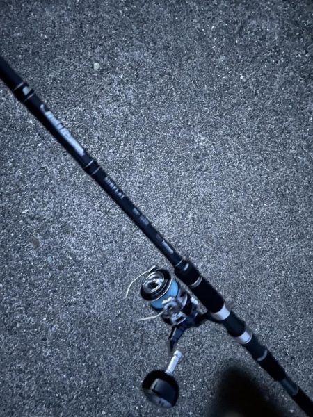 久しぶりの お魚