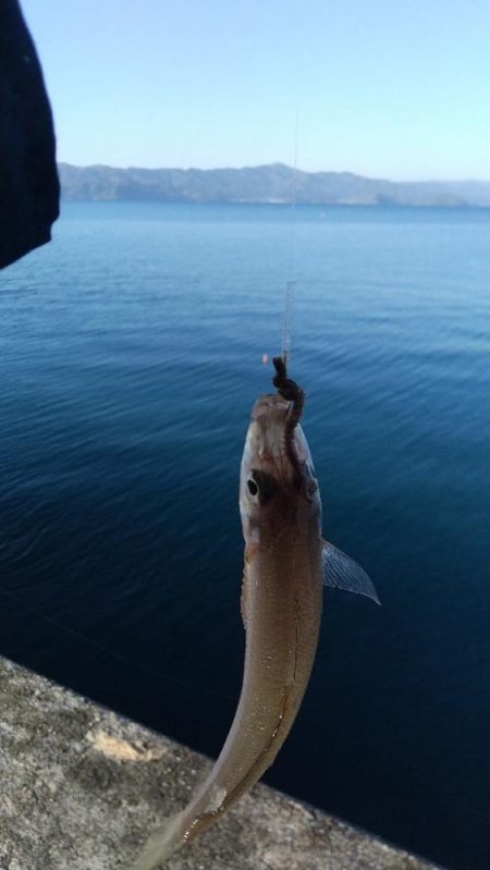 キス~寒の戻り?