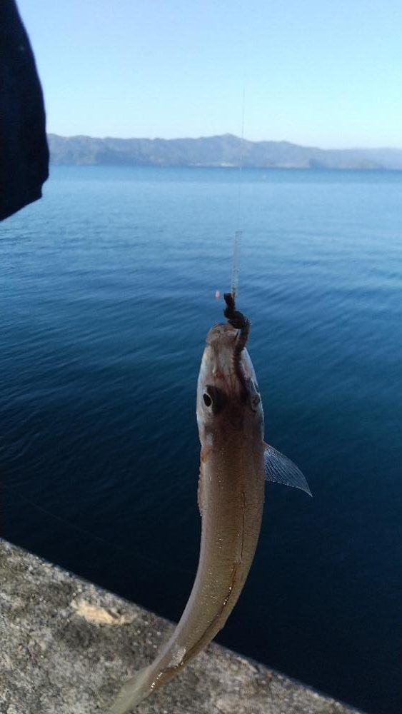 キス～寒の戻り？