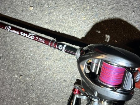 釣り場にいる猫ちゃんが気になって