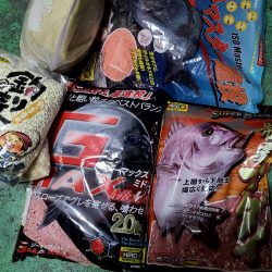 和歌山県勝浦でグレ釣りトーナメント予選