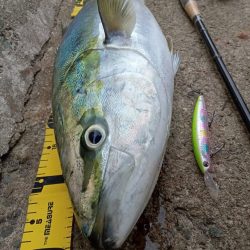 プチsalt water game