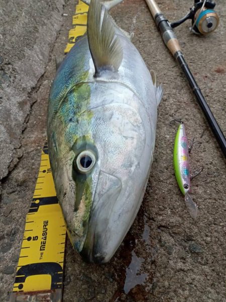 プチsalt water game