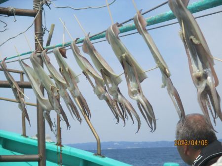 良型ヤリイカ主体　20～43～52杯