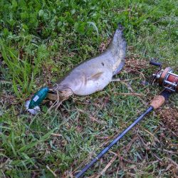 ルアーローテの重要性