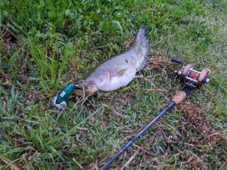 ルアーローテの重要性