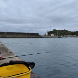 ファミリーフィッシング