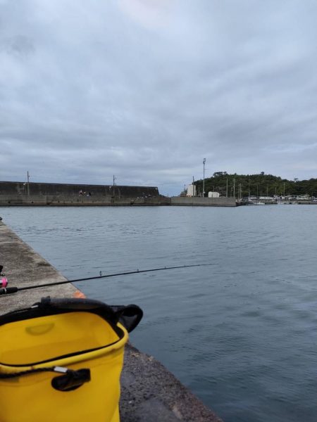 ファミリーフィッシング