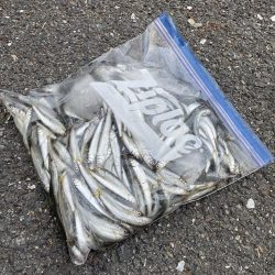 ★★今日も絶好調でした★★