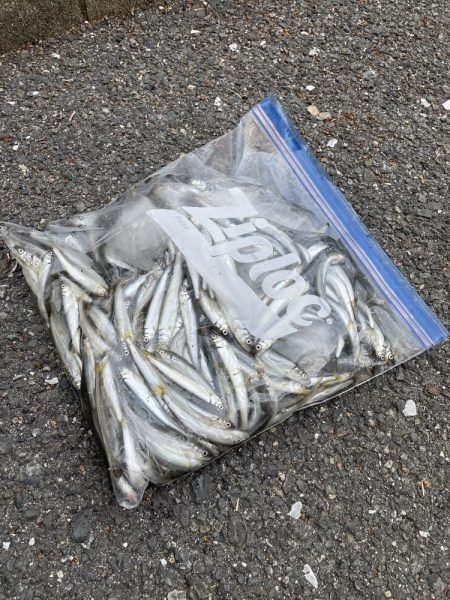 ★★今日も絶好調でした★★