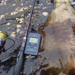 雨エギングIN対馬