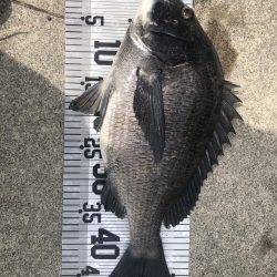 イチノ兄弟(兄)釣果!