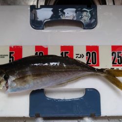 ポンポンパンパンワガママボディ