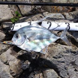 初の沖磯チャレンジ!