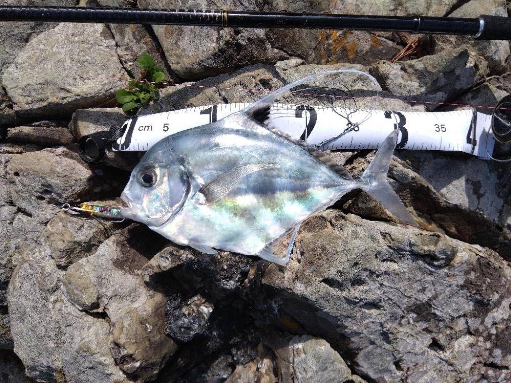 初の沖磯チャレンジ!