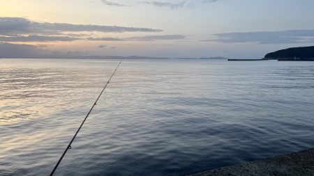 アジは朝が一番