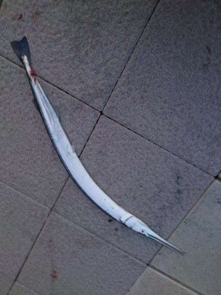 外道マスター！ESO＆DATSU